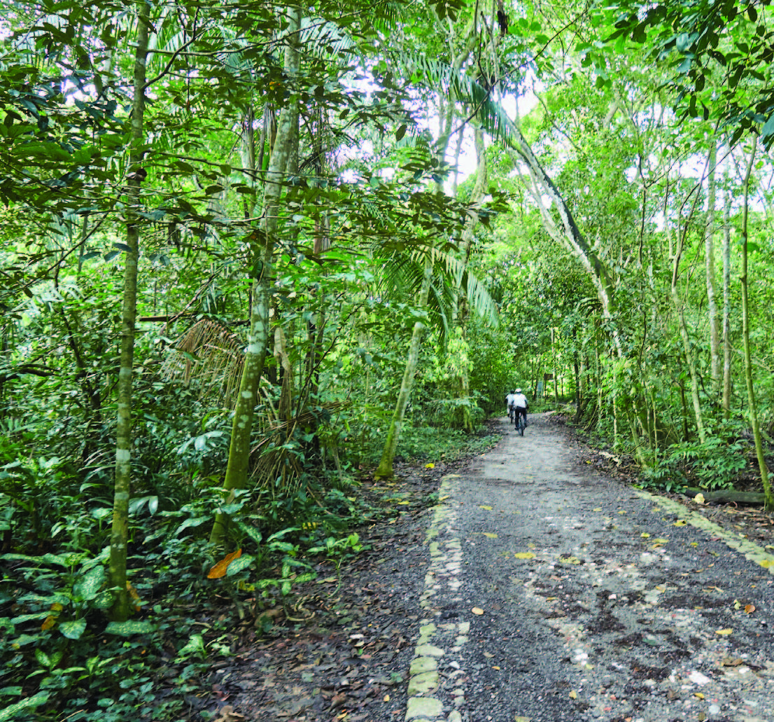Central Catchment Park Connector