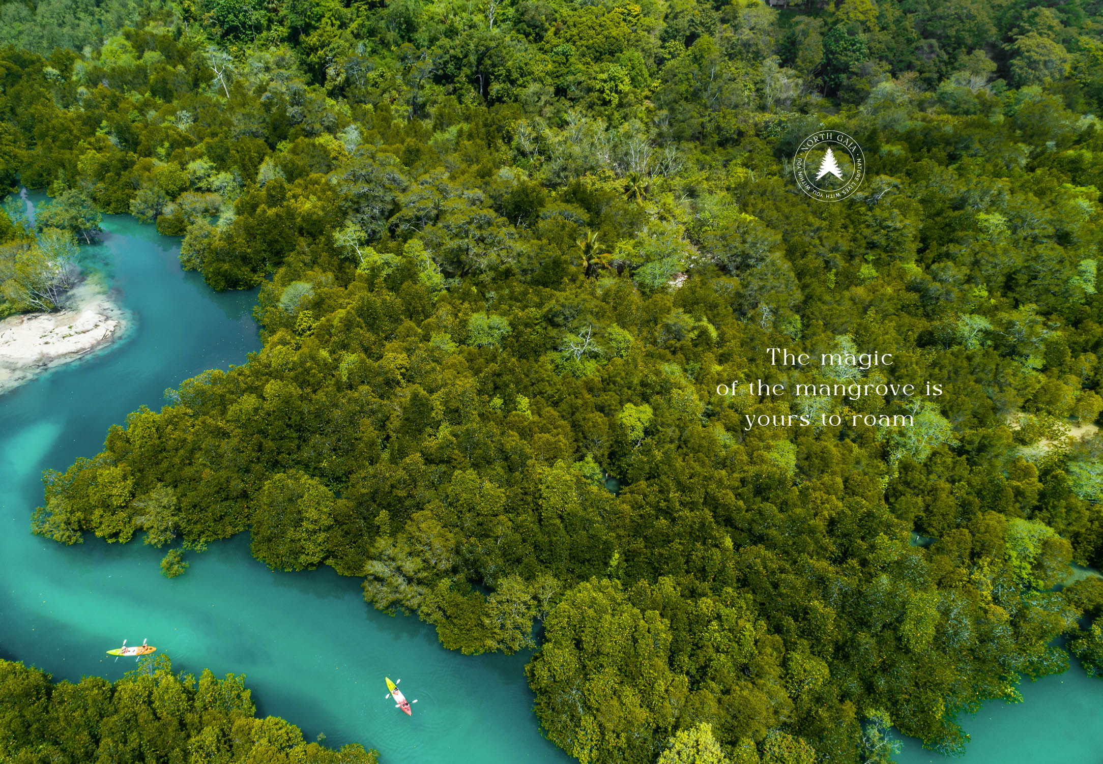 North-Gaia-Amenities-Mangrove