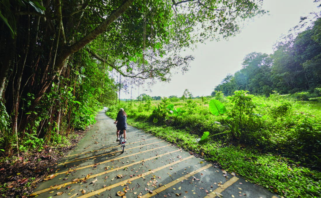 Ulu Sembawang Park Connector
